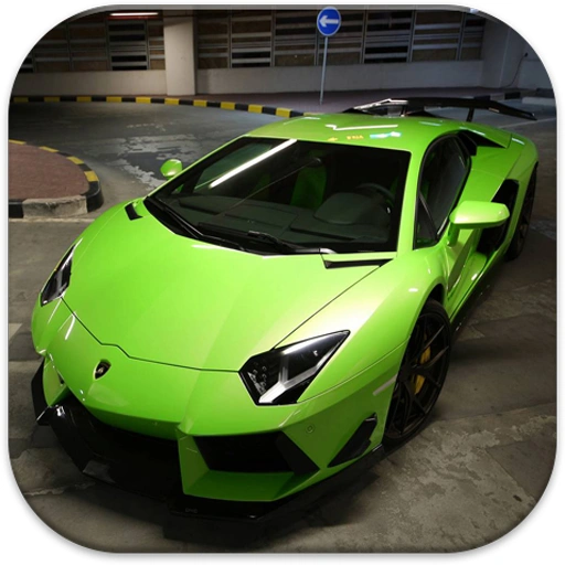 Supercars Parking Game 