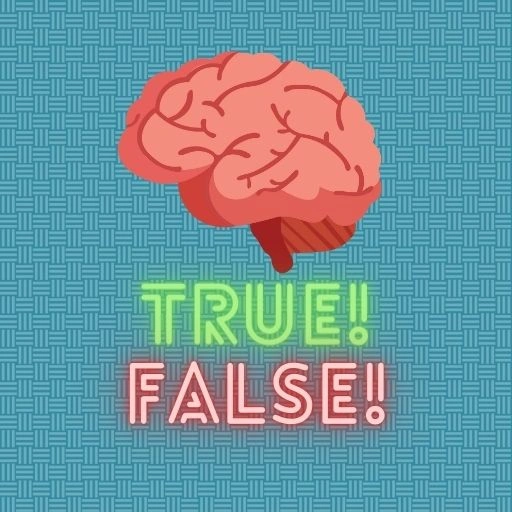 True or false quiz Game 